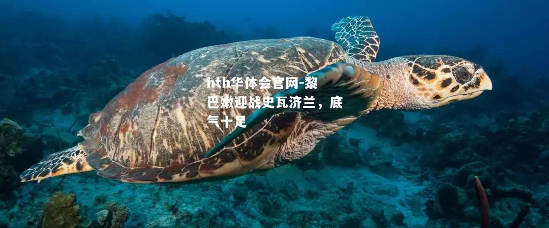 黎巴嫩迎战史瓦济兰，底气十足