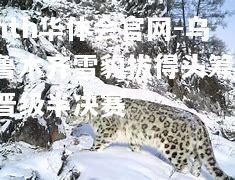 乌鲁木齐雪豹拔得头筹，晋级半决赛