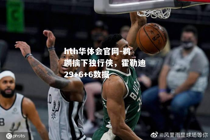 鹈鹕擒下独行侠，霍勒迪29+6+6数据